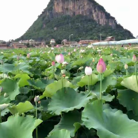 今年夏天 我们在一起