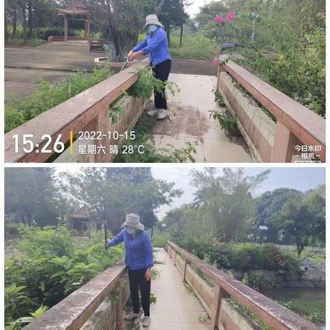 临高县南宝片区10月9日至10月15日一周工作汇总