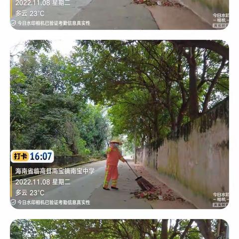 临高县南宝片区11月6日至11月12日一周工作汇总