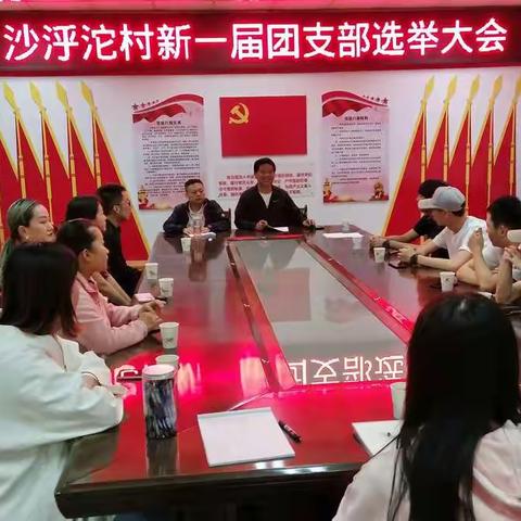 沙泘沱村高质量完成团支部新一届换届选举工作