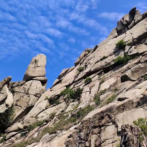 青岛小珠山一切智园诵经台登山游记