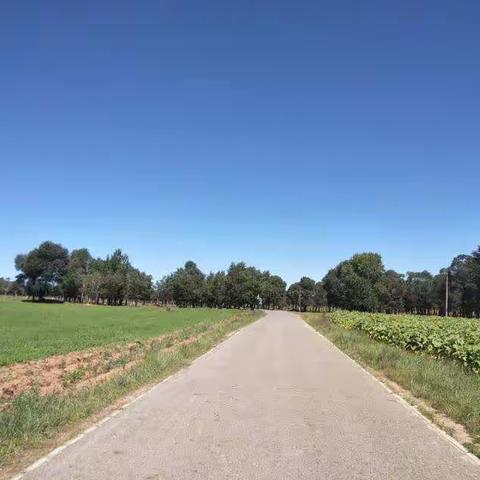 高中生物教研组一学期工作简报