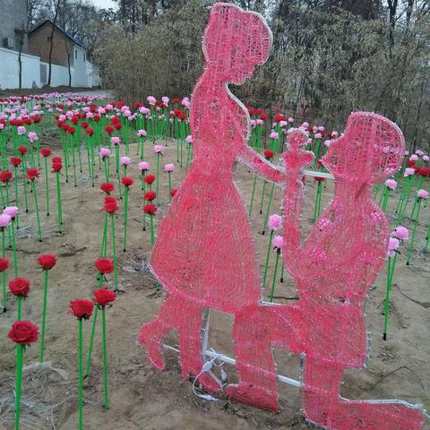 我和我的小蜗牛