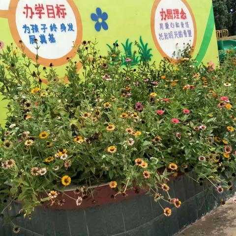 豆豆幼儿园2019年春季开始招生啦！