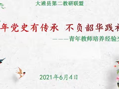 百年党史有传承 不负韶华践初心——大通县第二教研联盟青年教师培养经验交流活动纪实