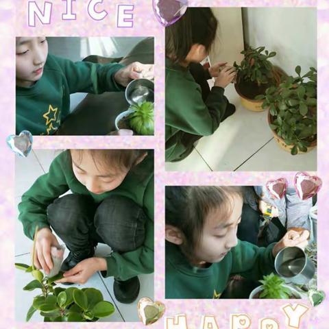 蠡县第二实验小学四二班爱绿护绿共创美好家园