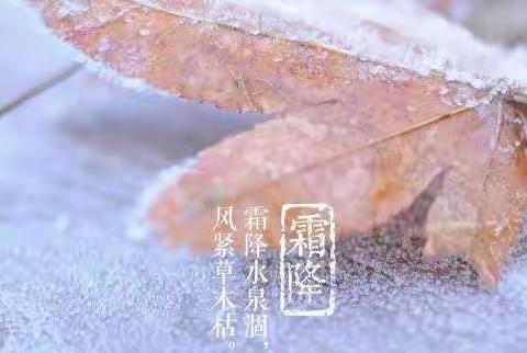 会“秋意”，知节气  ——轵城镇实验幼儿园小班组霜降节气活动