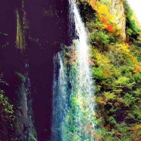 杨地镇双岭村秦岭山水乡村建设倡议书