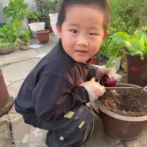 希望之光