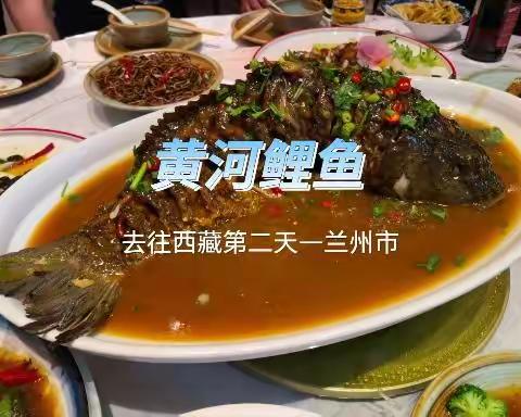 黄河大鲤鱼——西藏游记第二天