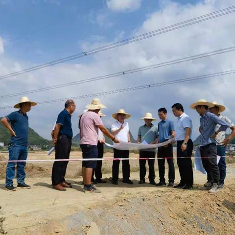 国庆我在岗丨周灵带队走访兴宾区耕地提质改造（旱改水）项目建设情况