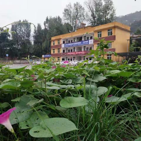 你陪我风雨，我与你同行；你陪我一程，我记你一生