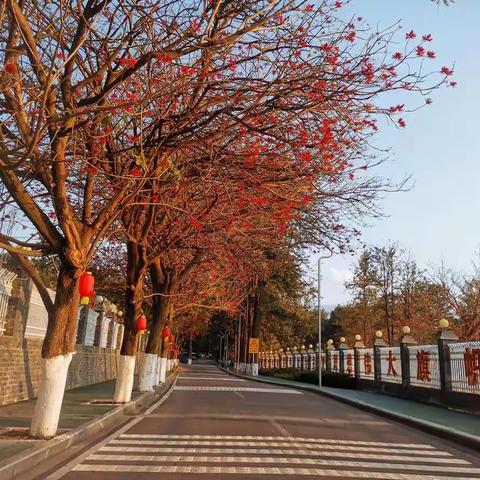 西昌的冬日暖阳又回来了！  ​​​盛邀您们过来晒太阳🌞🌞🌞