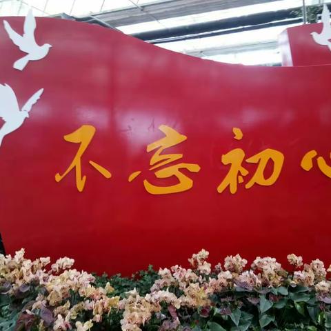硬化后的路面修路肩，施工进行中……