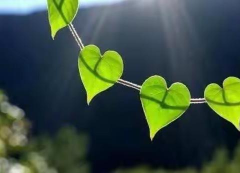 因为热爱，所以专注！