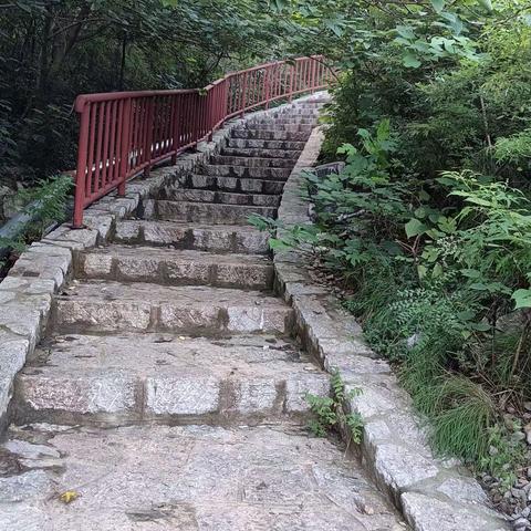 我坐在山腰