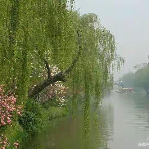 春日诗卷