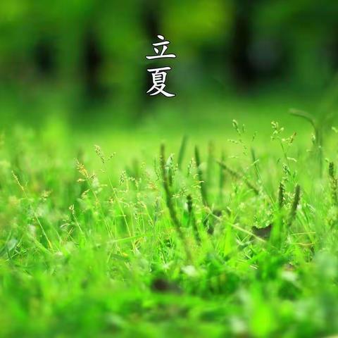 夏日诗卷