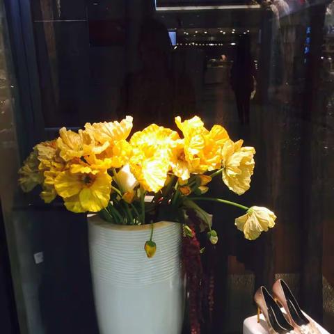 20117/2018欧弟、优悦最佳回忆