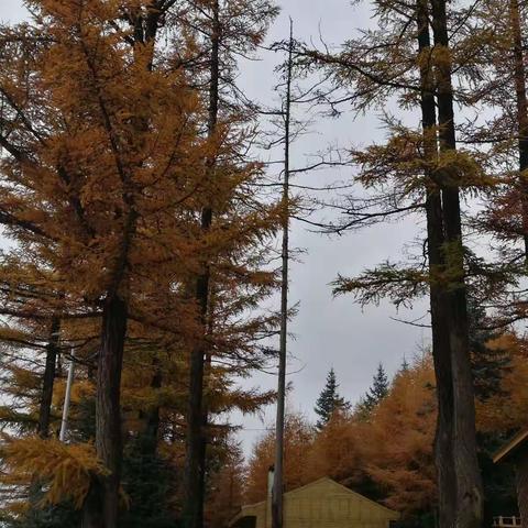 山西宁武万年冰洞