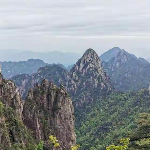 大美黄山（二）