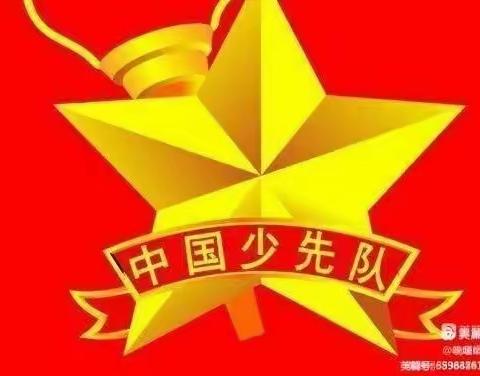 和政县张家沟小学“请党放心，强国有我”主题建队日活动