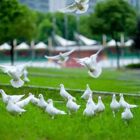 光谷实验921班的同学一起努力呀