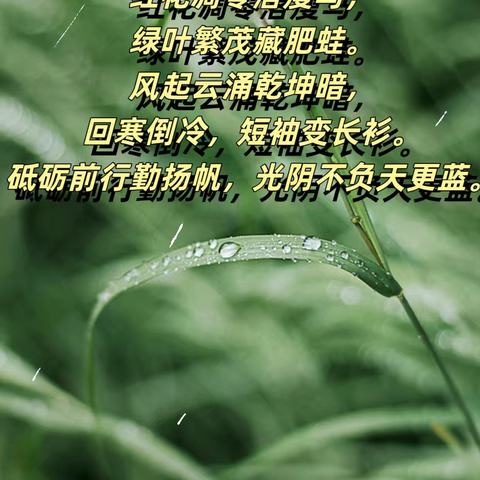 【每日诗词】蝶恋花·小满