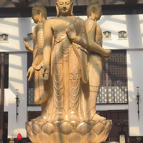 云岗石窟和附近