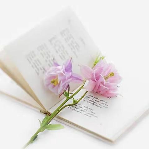 悦读·寻芳——李丛梅小学语文名师工作室读书分享交流