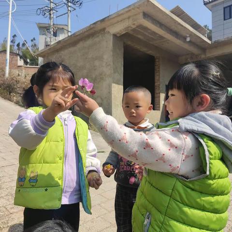 春风十里，万物复苏