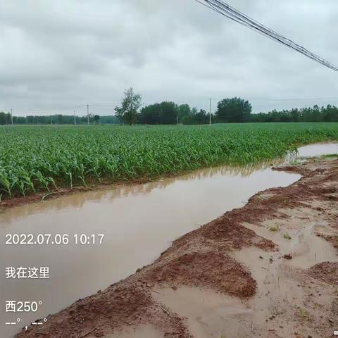 大雨来袭，成武县农业农村局积极开展排水防涝