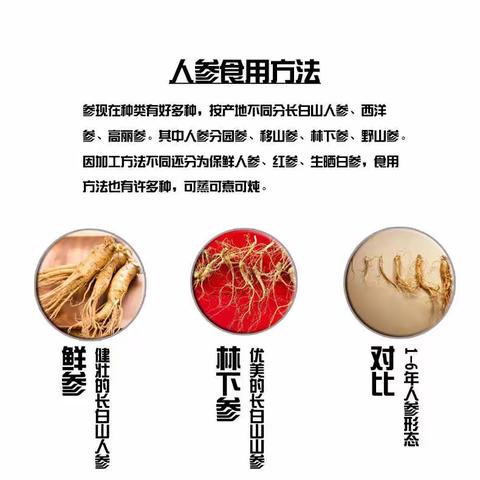 长白山参的食用方法