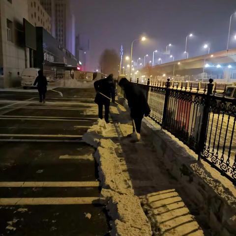 天撒银花地披裳 双德物业清雪忙