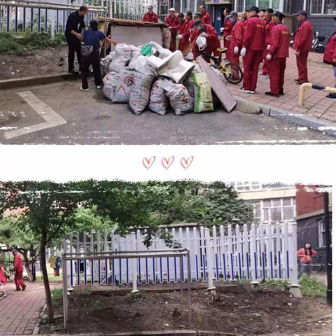 协助清违 助力创城