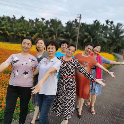 春季赏花