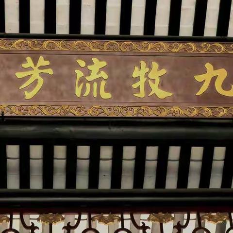寻乡记