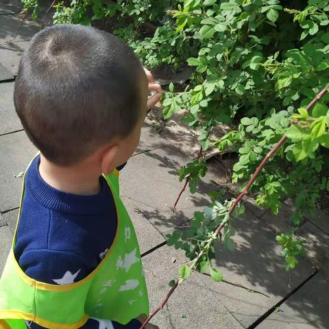 我和春天有个约会！