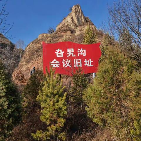 感谢生命的陪伴
