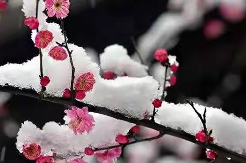 互学习，促成长——莒县四小金波苑幼儿园教师公开课活动