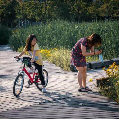 印象槎溪-留云湖