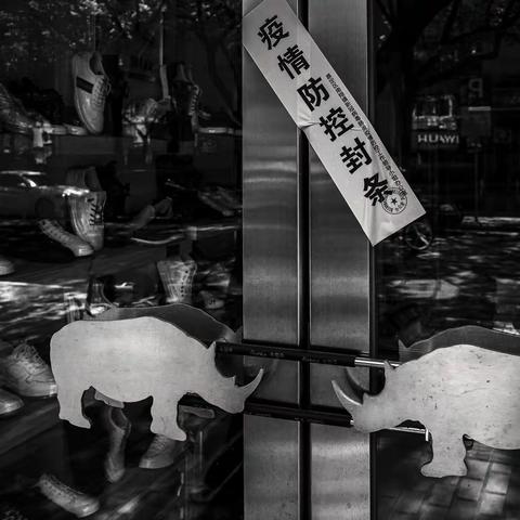 5月，上海的童话