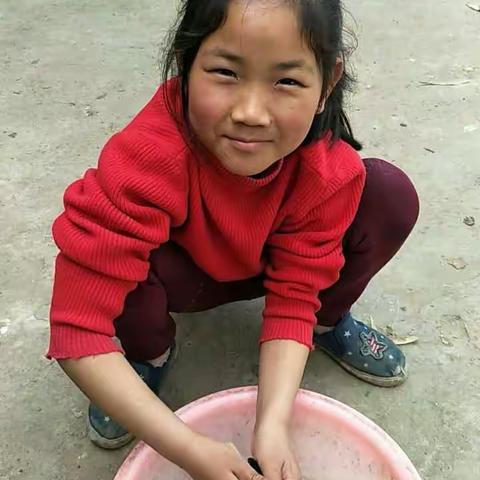 三一班的勤劳小蜜蜂