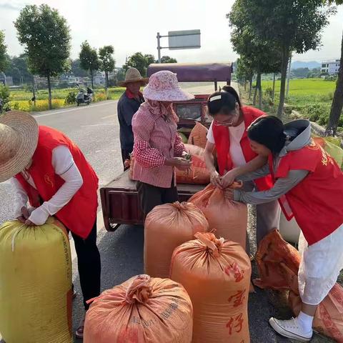 文明实践在大坪，助农劳作暖民心