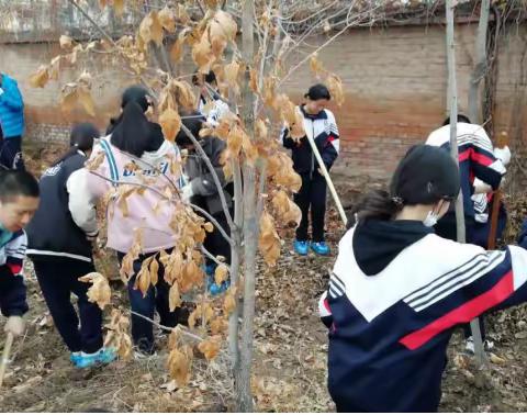 美化校园  我们在行动