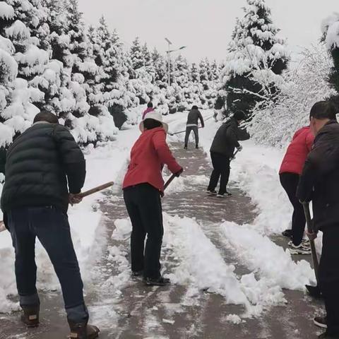 凤西村党员干部群众清理积雪