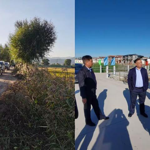 市农业农村局再次赴晋源区开展“双减双抢”技术指导