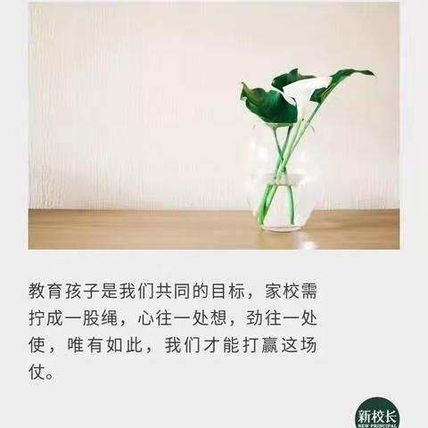 致青春——写给疫情下在家坚持学习的孩子们