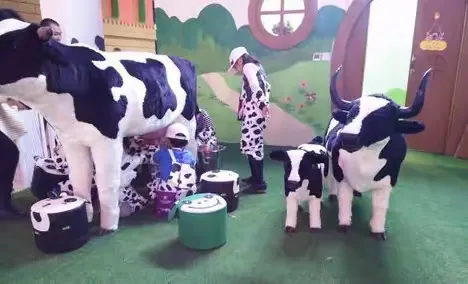 我来做一名牛奶🥛工