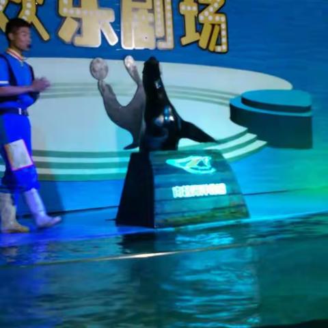 海洋馆之行